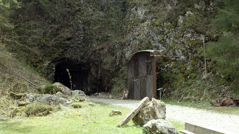 Sobrevivi ao Holocausto : Fotos