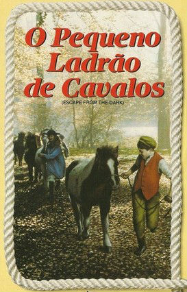O Pequeno Ladrão de Cavalos : Poster