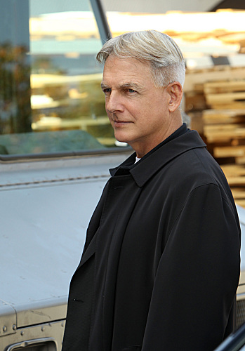 Fotos Mark Harmon