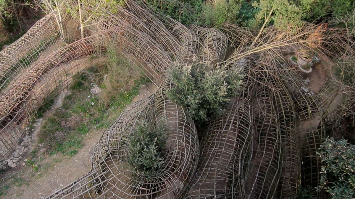 O Criador da Selva : Fotos