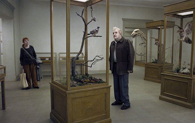 Um Pombo Pousou num Galho Refletindo sobre a Existência : Fotos Nisse Vestblom