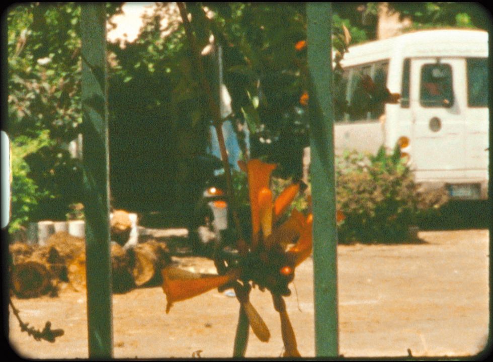 Uma Vez Entrei num Jardim : Fotos