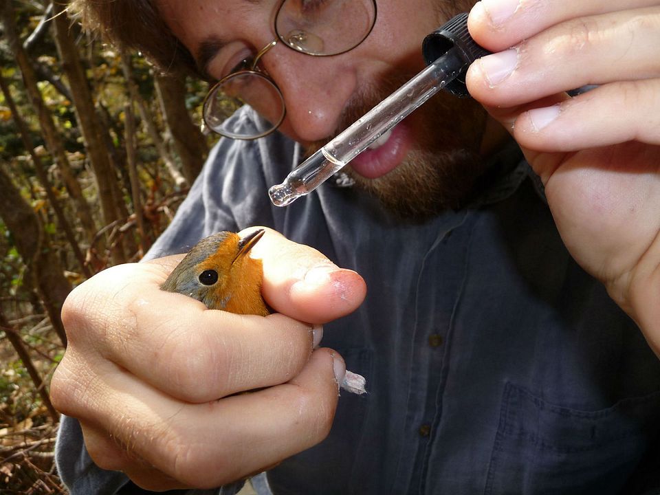 Esvaziando os Céus : Fotos