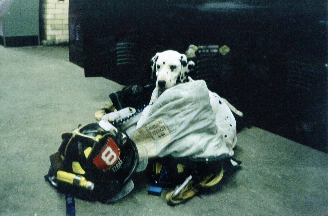 A Good Job: Stories of the FDNY : Fotos