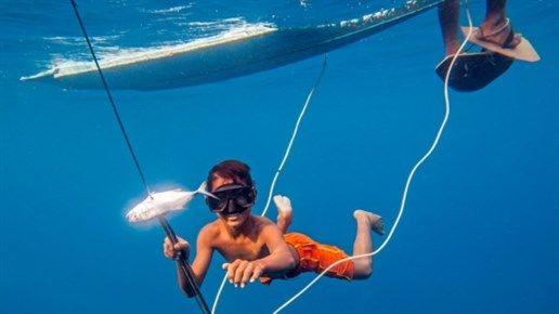 Caminhando Sob A Água : Fotos