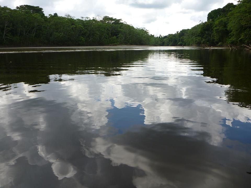 Petróleo e Água : Fotos