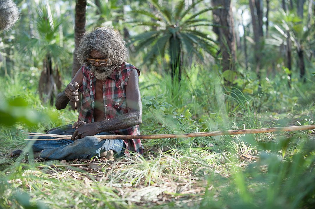 O País de Charlie : Fotos David Gulpilil