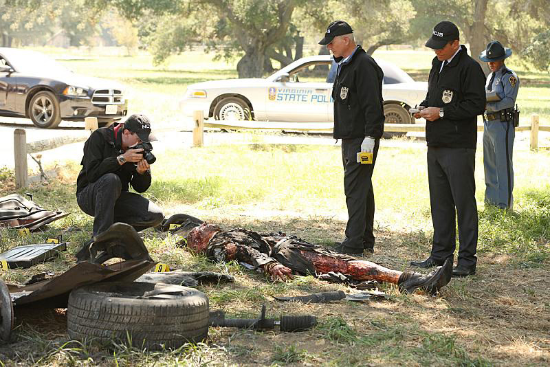 NCIS : Fotos Michael Weatherly, Mark Harmon, Sean Murray