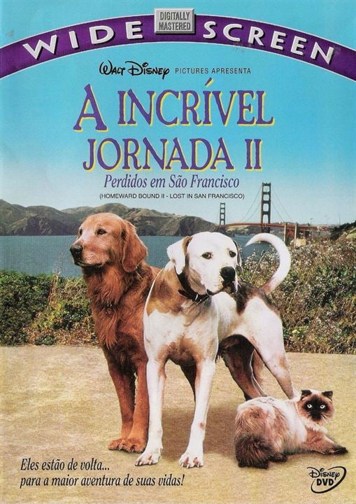 A Incrível Jornada 2 - Perdidos em São Francisco : Poster