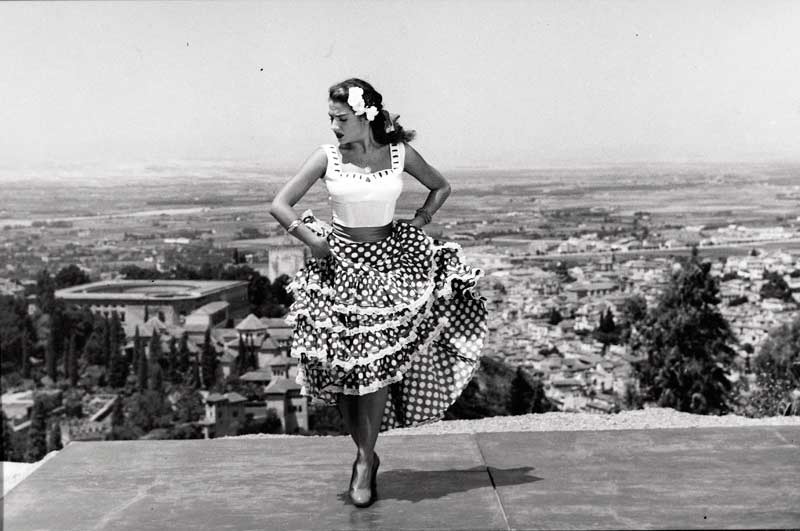 Flamenco : Fotos