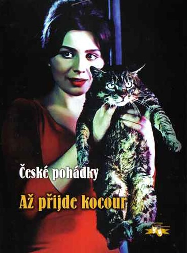 Um Dia, Um Gato : Poster