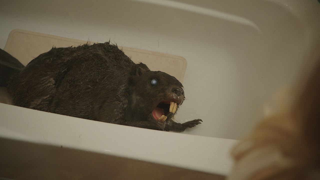 Zombeavers - Terror no Lago : Fotos