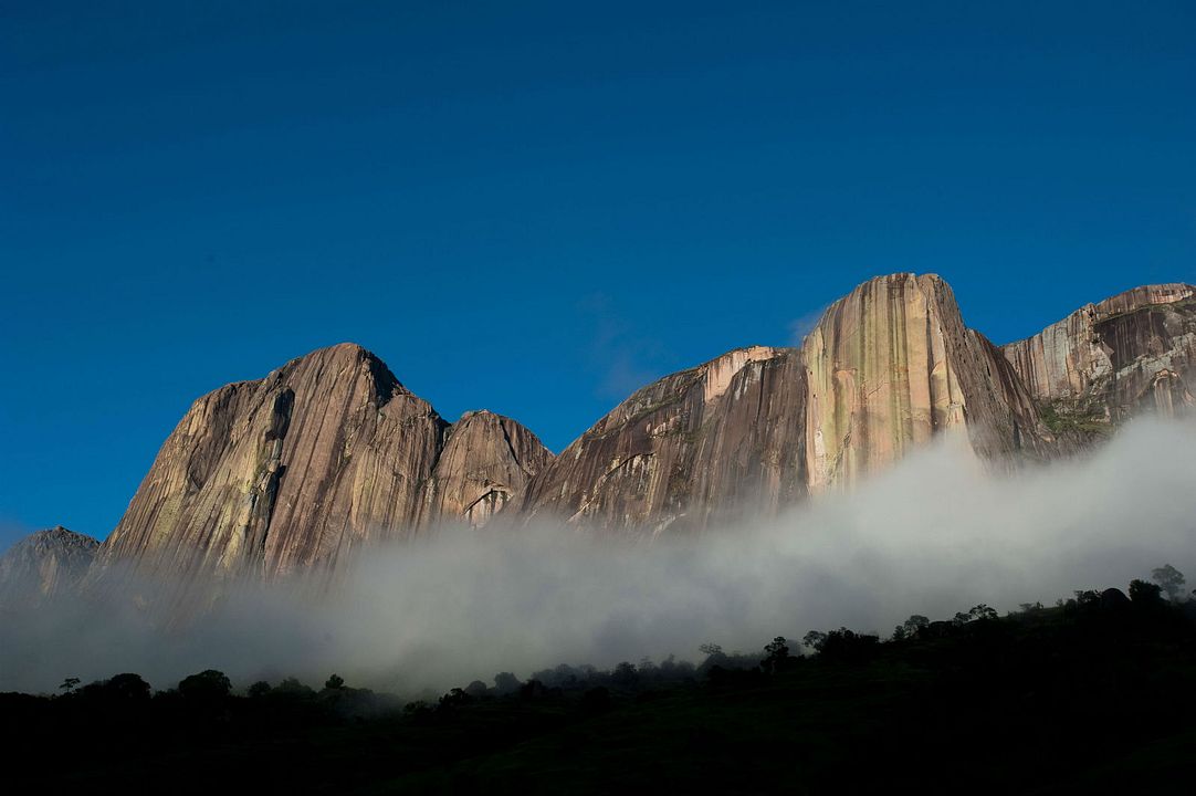 Ilha dos Lêmures - Madagascar : Fotos