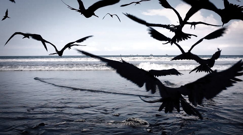 Silencio en la Tierra de los Sueños : Fotos