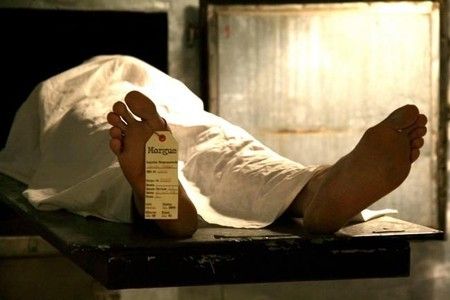 Morgue Story – Sangue, Baiacu & Quadrinhos : Fotos