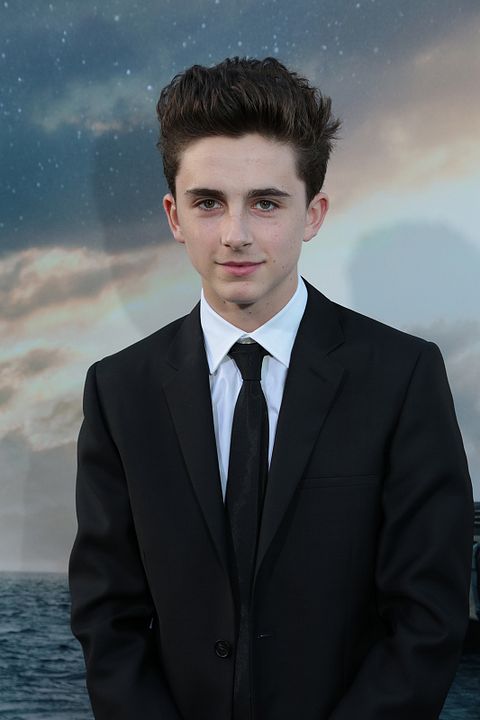 Interestelar : Revista Timothée Chalamet