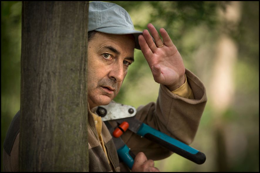 Fotos François Morel
