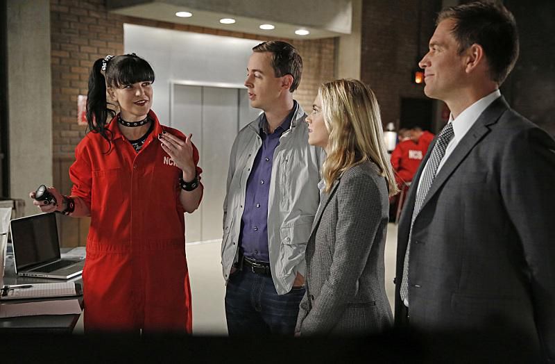 NCIS : Fotos Sean Murray, Emily Wickersham, Pauley Perrette, Michael Weatherly