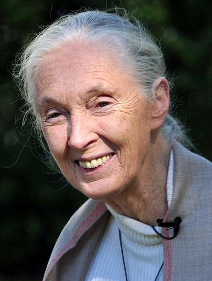 Poster Jane Goodall