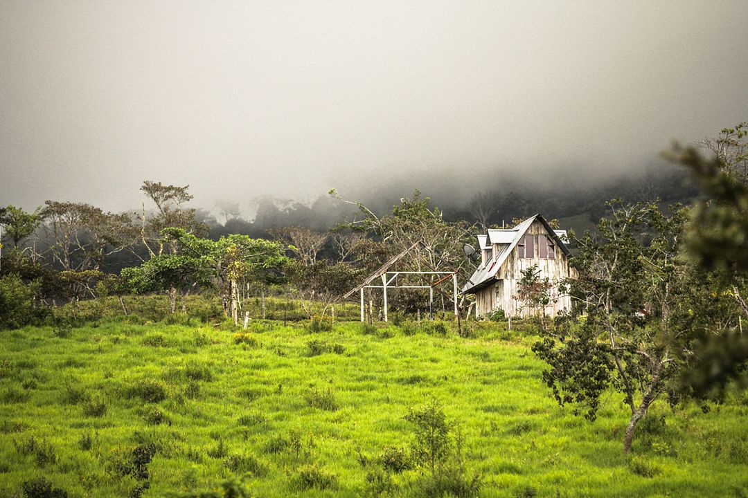 A Small Section of the World : Fotos