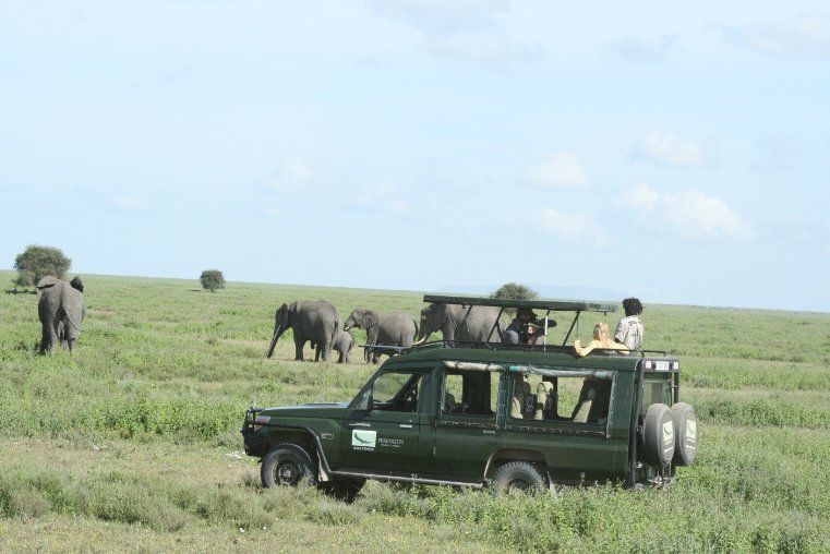 Tanzania: A Journey Within : Fotos