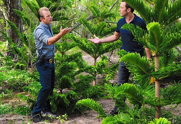 Fotos Alex O'Loughlin, Scott Caan