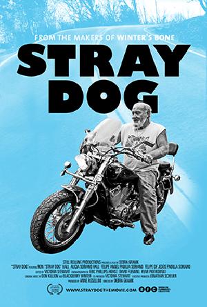 Stray Dog : Poster