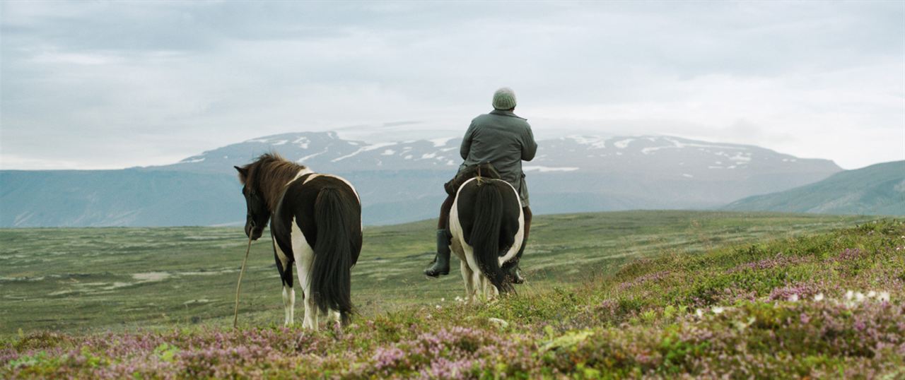 Cavalos e Homens : Fotos