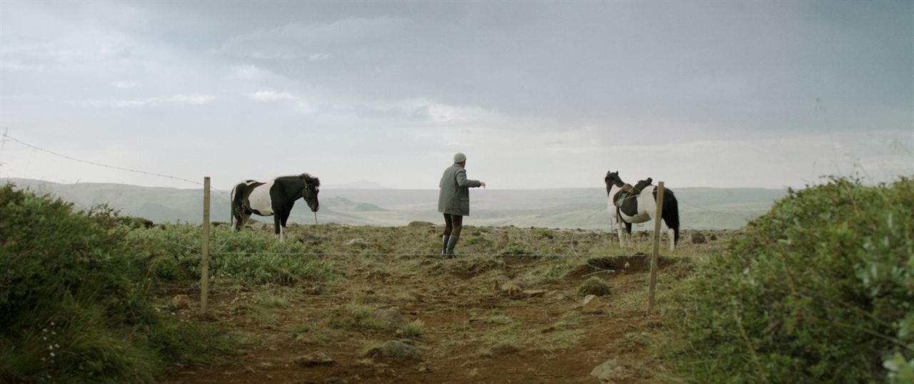 Cavalos e Homens : Fotos