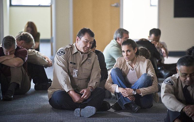 NCIS: Los Angeles : Fotos Daniela Ruah