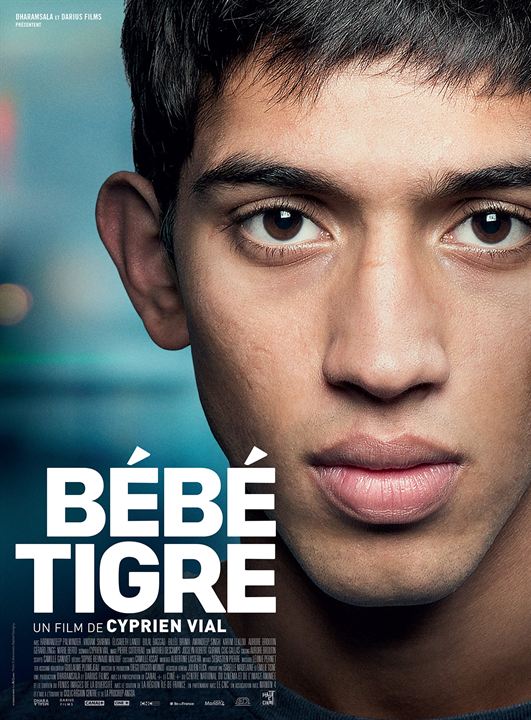 Jovem Tigre : Poster