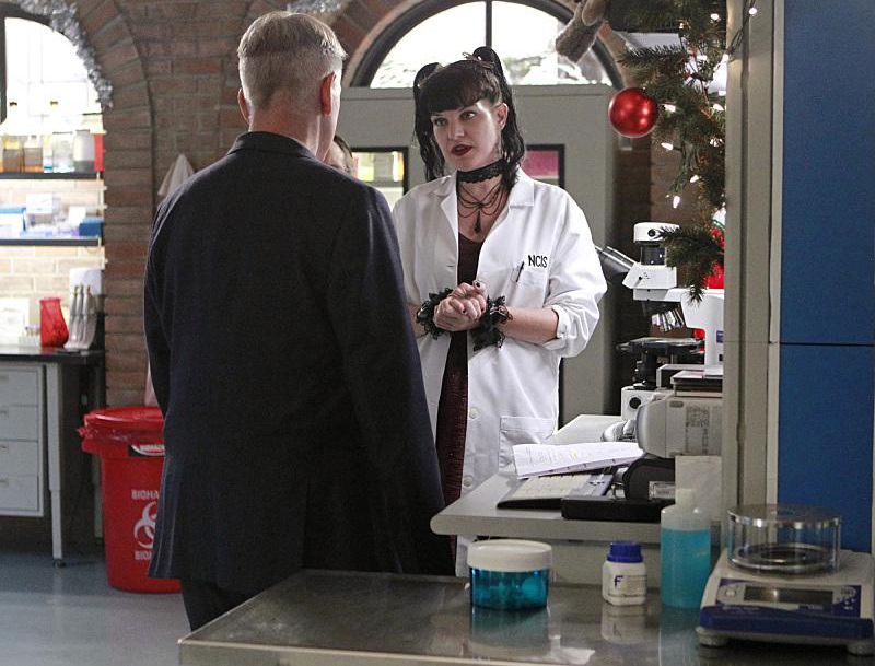 NCIS : Fotos Pauley Perrette