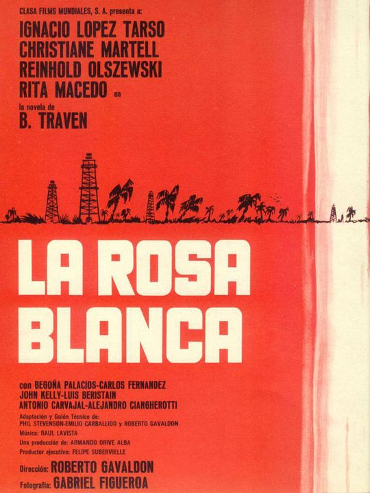 Rosa blanca : Poster