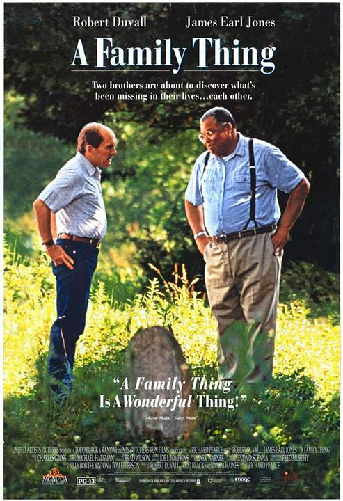 Segredo de Família : Poster