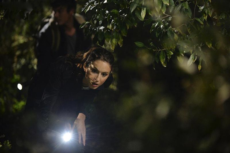 Pretty Little Liars : Fotos Troian Bellisario