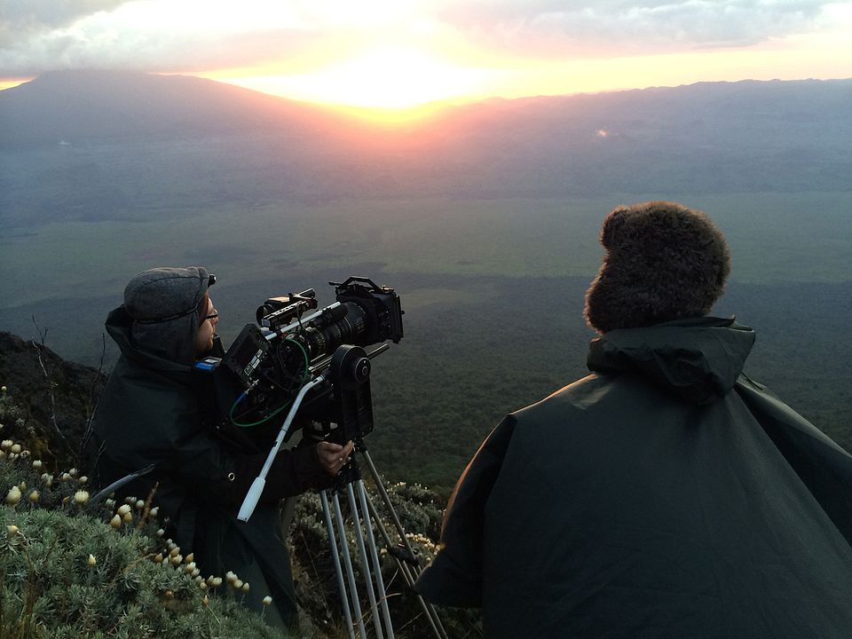 Virunga : Fotos