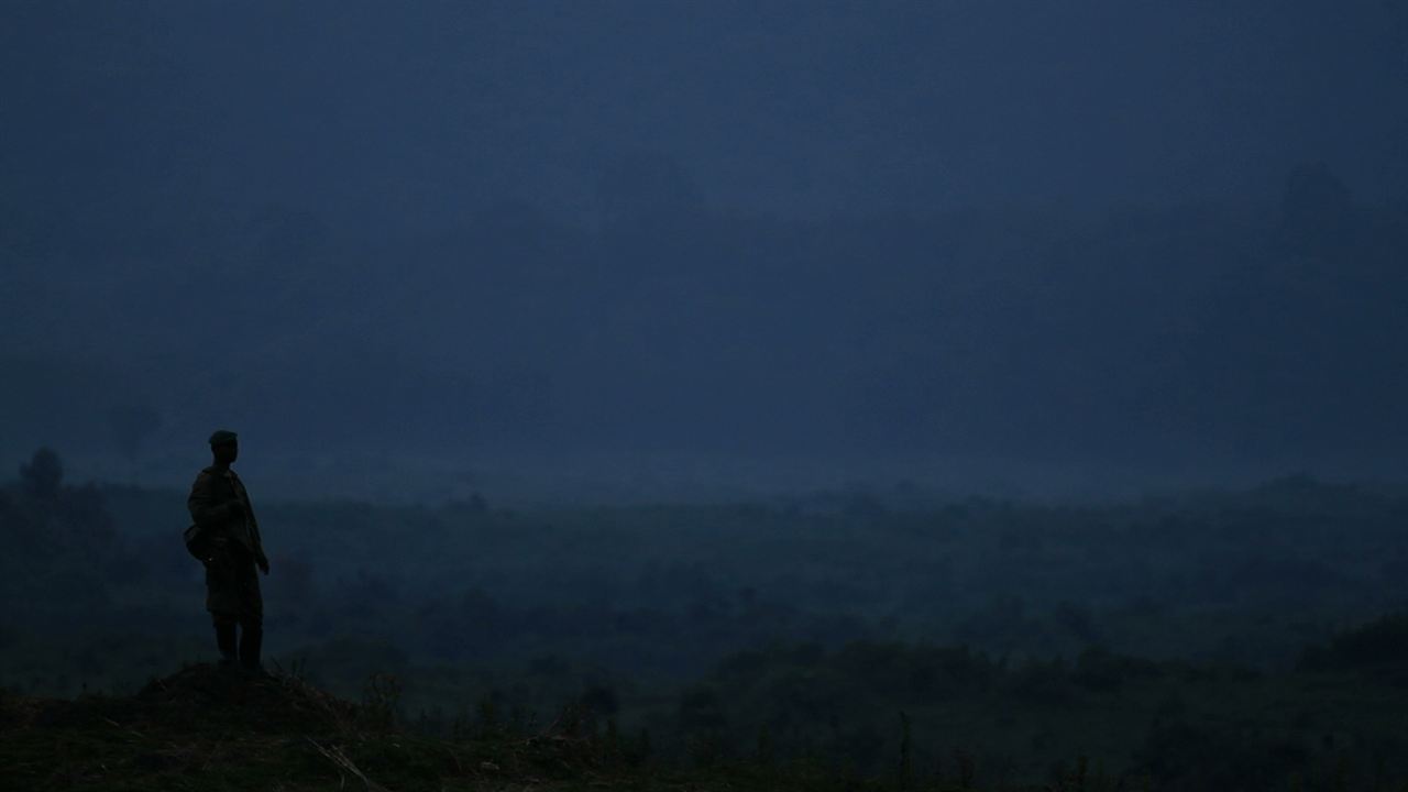 Virunga : Fotos