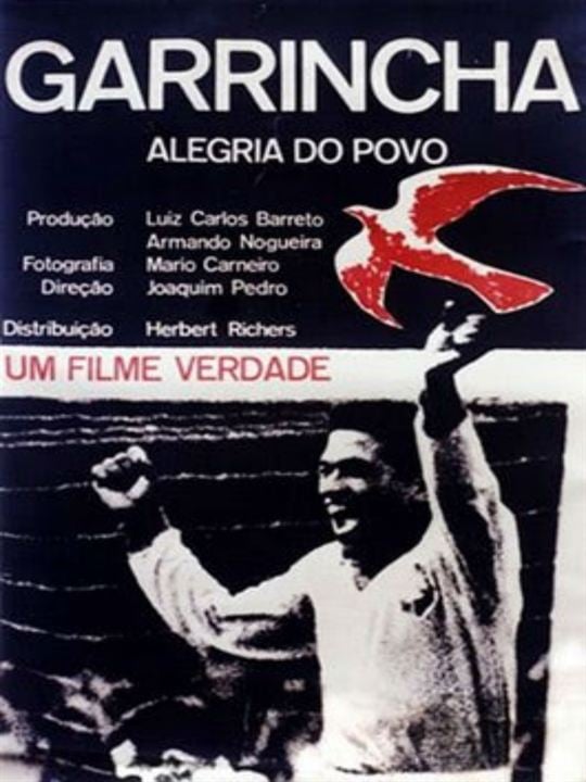 Garrincha, A Alegria do Povo : Poster