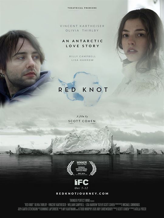 Red Knot : Poster