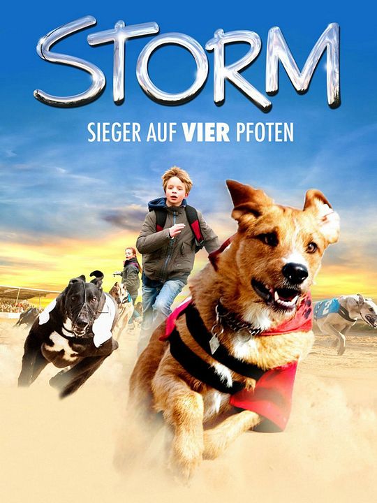 Meu Amigo Storm : Poster