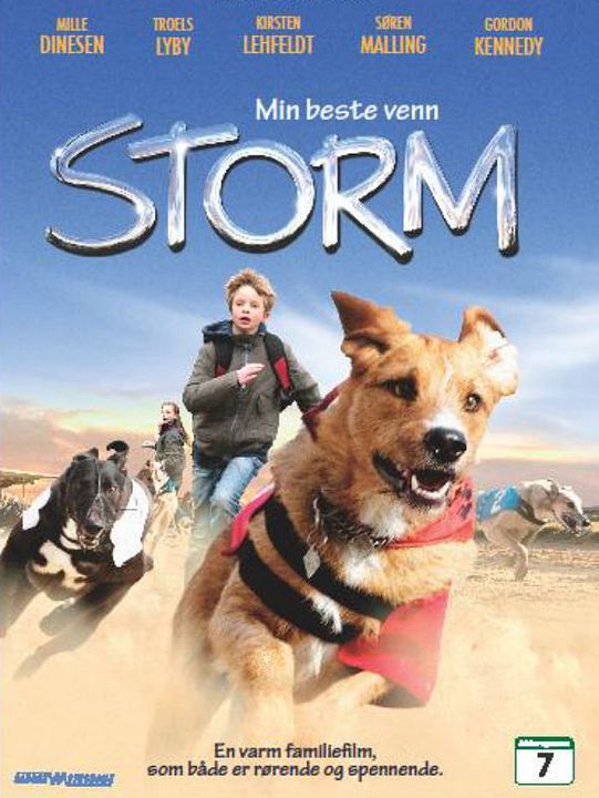 Meu Amigo Storm : Poster