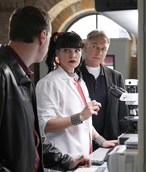 Fotos Pauley Perrette, Mark Harmon