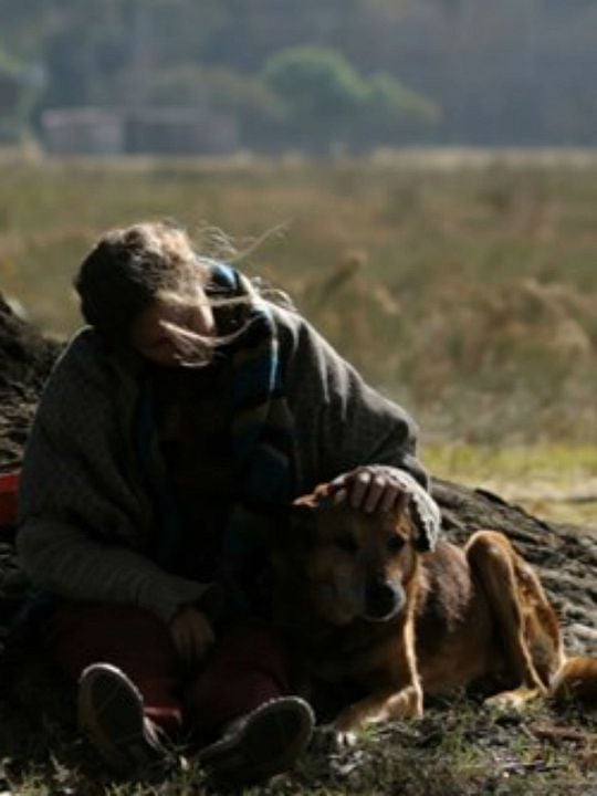 A Mulher dos Cachorros : Poster