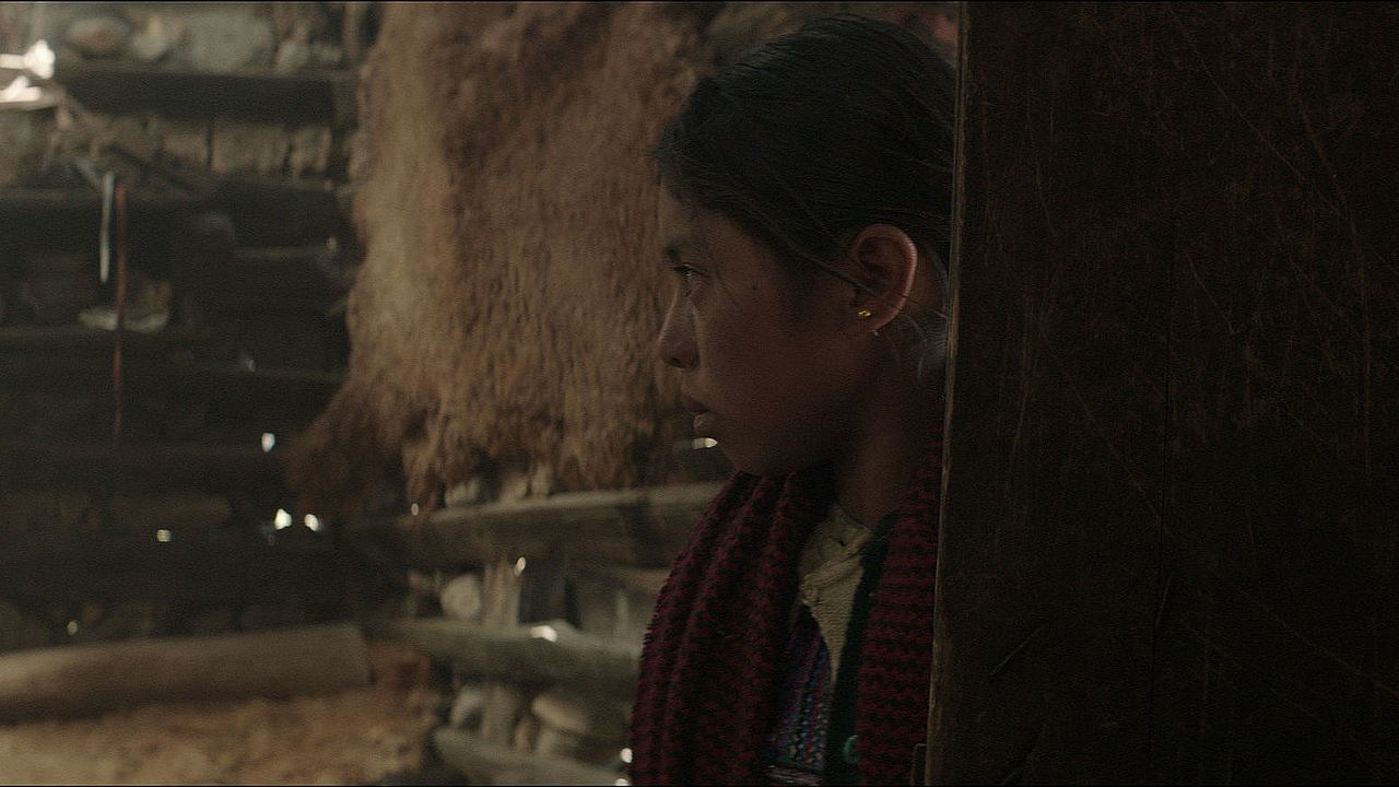 La casa más grande del mundo : Fotos