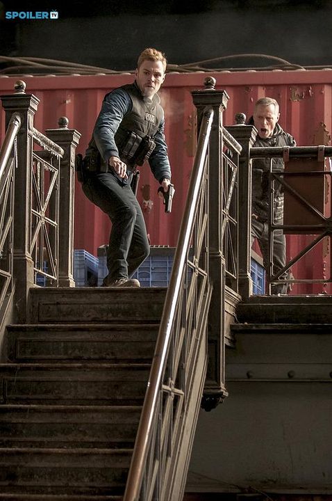 Chicago P.D. Distrito 21 : Fotos Jason Beghe