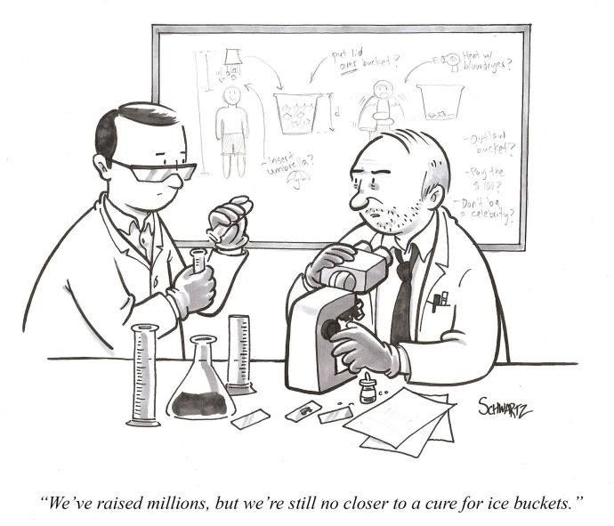 Very Semi-Serious : Fotos