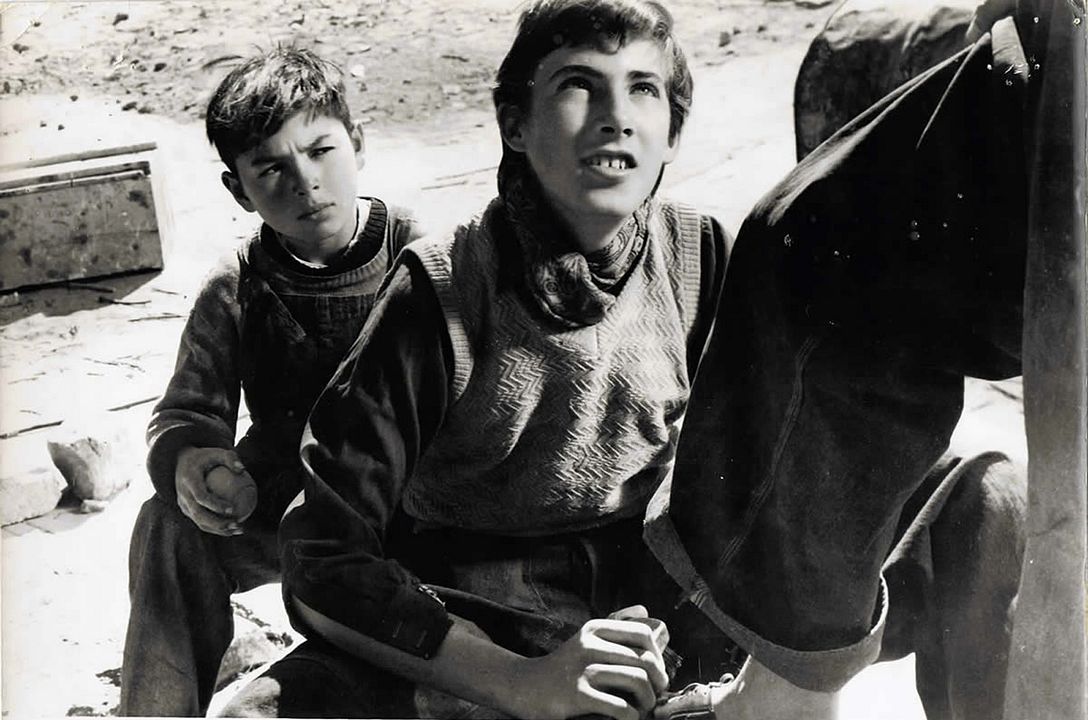 Os Esquecidos : Fotos