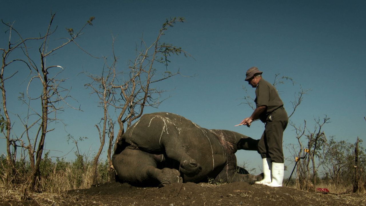 O Jogo da Extinção : Fotos