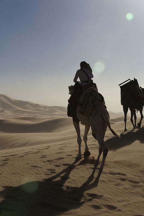 Rainha do Deserto : Fotos