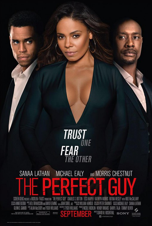 O Cara Perfeito : Poster